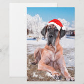 Papeterie Très Beau Chien Danse Assis Dans Le Casquette De N (Devant / Derrière)