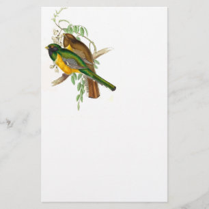 Papeterie Trogon Bird BT
