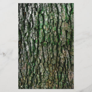 Papeterie Tronc d'arbre (écorce en bois)