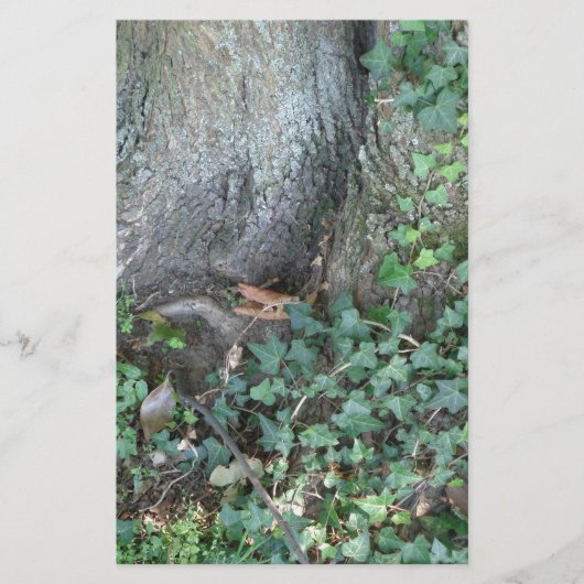 Papeterie Tronc d'arbre et lierre en forêt (Devant)