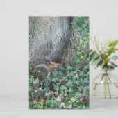 Papeterie Tronc d'arbre et lierre en forêt (Debout devant)