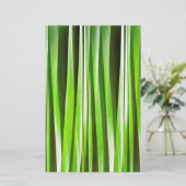 Papeterie Tropical Green Riverweed (Debout devant)