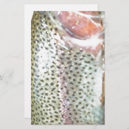 Papeterie Truite arc-en-ciel (Devant / Derrière)