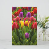 Papeterie Tulipes lumineuses (Debout devant)