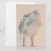Papeterie Ugly Chick (Devant / Derrière)