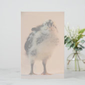 Papeterie Ugly Chick (Debout devant)