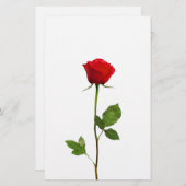 PAPETERIE UN ROSE ROUGE DE LONGUE TIGE (Devant / Derrière)