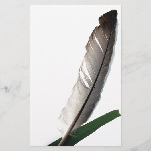 Papeterie Une plume (Devant)