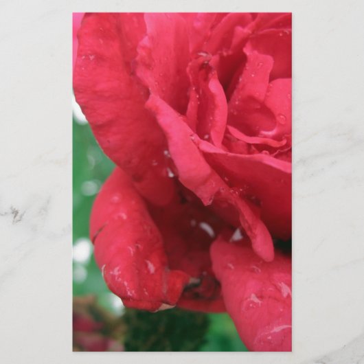 Papeterie Une rose rouge (Devant)