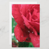 Papeterie Une rose rouge (Devant / Derrière)