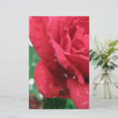 Papeterie Une rose rouge (Debout devant)