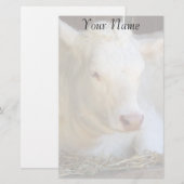 Papeterie Vache blanche (Devant / Derrière)