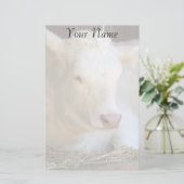 Papeterie Vache blanche (Debout devant)