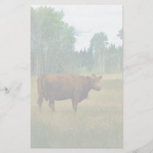 Papeterie Vache Brown sur un ranch pour chevaux et bovins