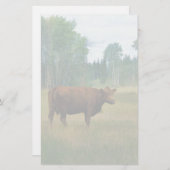 Papeterie Vache Brown sur un ranch pour chevaux et bovins (Devant / Derrière)