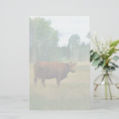 Papeterie Vache Brown sur un ranch pour chevaux et bovins (Debout devant)