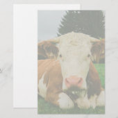 Papeterie Vaches (Devant / Derrière)