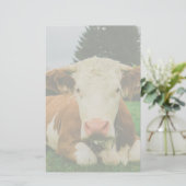 Papeterie Vaches (Debout devant)