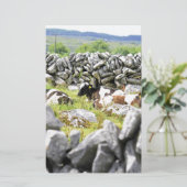 Papeterie Vaches Moo (Debout devant)