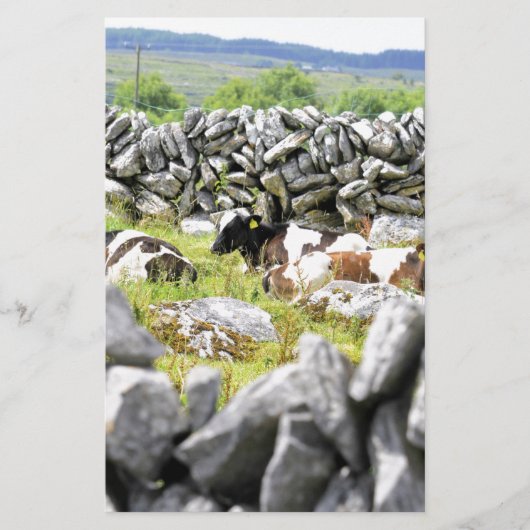 Papeterie Vaches qui mugissent (Devant)