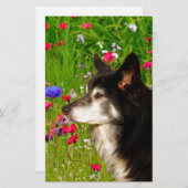 Papeterie Valentine Frontière Collie avec de belles fleurs (Devant / Derrière)