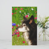 Papeterie Valentine Frontière Collie avec de belles fleurs (Debout devant)