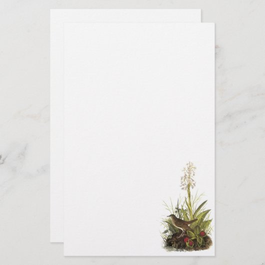 Papeterie Veery, John Audubon (Devant / Derrière)