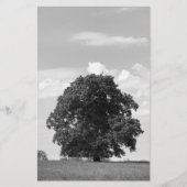 Papeterie Vieux arbre (Devant)