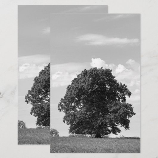 Papeterie Vieux arbre (Devant / Derrière)