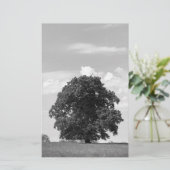 Papeterie Vieux arbre (Debout devant)