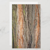 Papeterie vieux arbre (Devant / Derrière)