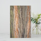 Papeterie vieux arbre (Debout devant)