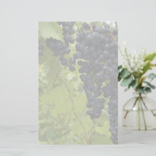 Papeterie Vignoble thème Mariage (Debout devant)