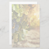 Papeterie Vignobles Au Coucher Du Soleil (Devant / Derrière)