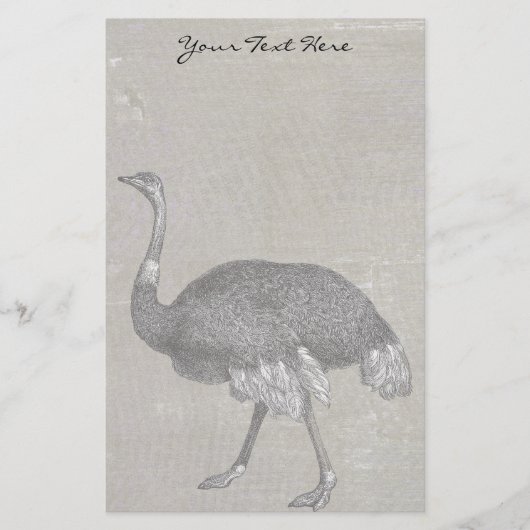 Papeterie Vintage Ostrich (Devant)