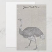 Papeterie Vintage Ostrich (Devant / Derrière)
