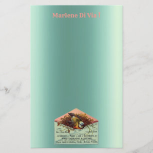 papeterie vintage pour oiseaux nicheurs