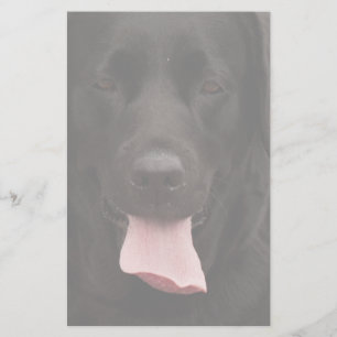 Papeterie Visage de chien noir