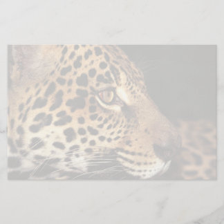 Papeterie Visage de guépard