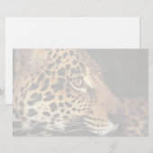 Papeterie Visage de guépard (Devant / Derrière)