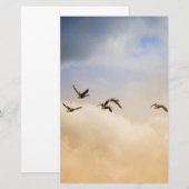 Papeterie Vols d'oiseaux (Devant / Derrière)