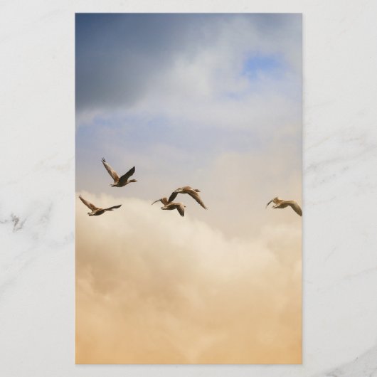 Papeterie Vols d'oiseaux (Devant)