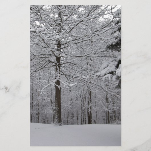 Papeterie Vue Woods (Devant)