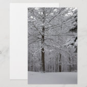Papeterie Vue Woods (Devant / Derrière)