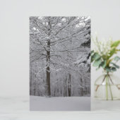 Papeterie Vue Woods (Debout devant)