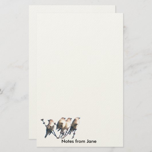 Papeterie - WaxWing - Notes de ... (Devant / Derrière)