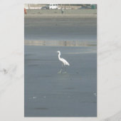 Papeterie White Bird on Grey Sand Beach Art Imprimer (Devant)
