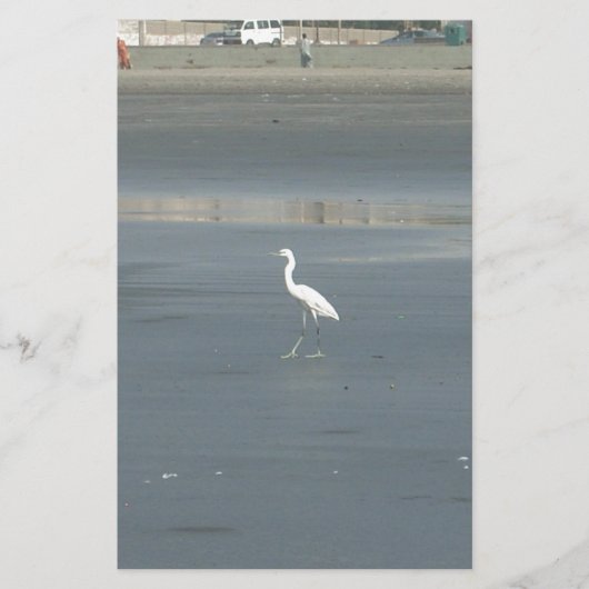 Papeterie White Bird on Grey Sand Beach Art Imprimer (Devant)