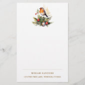 Papeterie Winter Red Robin Christmas (Devant)