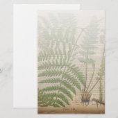 Papeterie woodland foliage french botanical (Devant / Derrière)